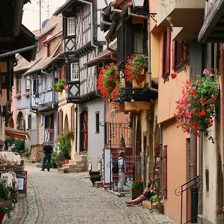 T2 Cocooning A 10min A Pied Du Centre De Colmar